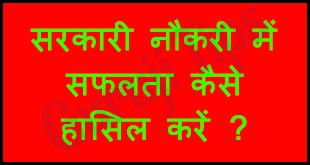 Sarkari Naukari me safalta